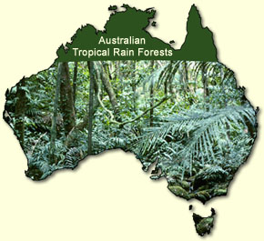 Coverage of Australian Tropical Rain Forests