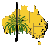 Australia's Virtual Herbaium
Council of Heads of Australian Herbaria