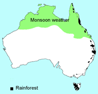 Map monsoon - rainforest