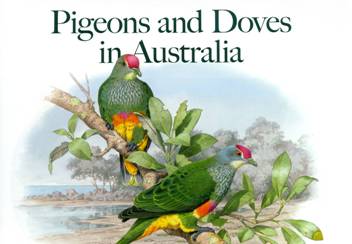 Book cover: "Pigeons and Doves"