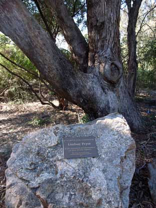 Pryor plaque and tree