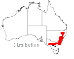 Rytidosperma pallidum, Joycea pallida distribution map