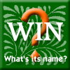 What's Its Name logo