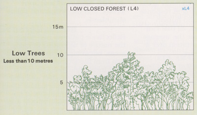 Low Closed Forest structure