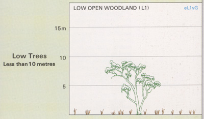 Low Open Woodland structure