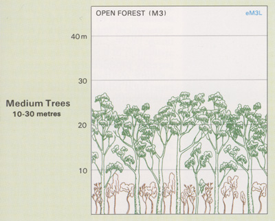 Open Forests structure