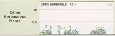 Open Herbfield structure