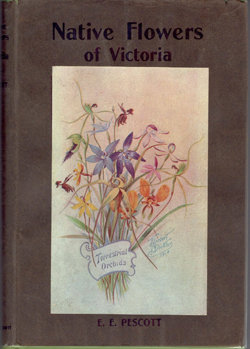 Pescott, E.E. 'Native Flowers of Victoria' 1914