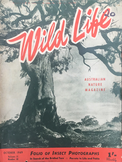 Wild Life cover 1949