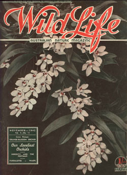 Wild Life cover 1942 