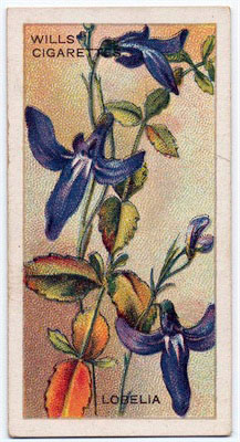 cigarette card front