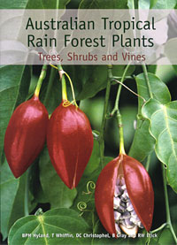 rainforest plants names