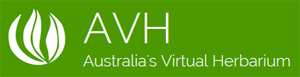 AVH logo