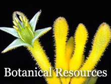 Botanical Resources