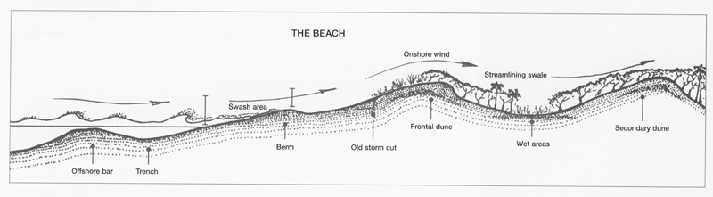 sand dunes diagram